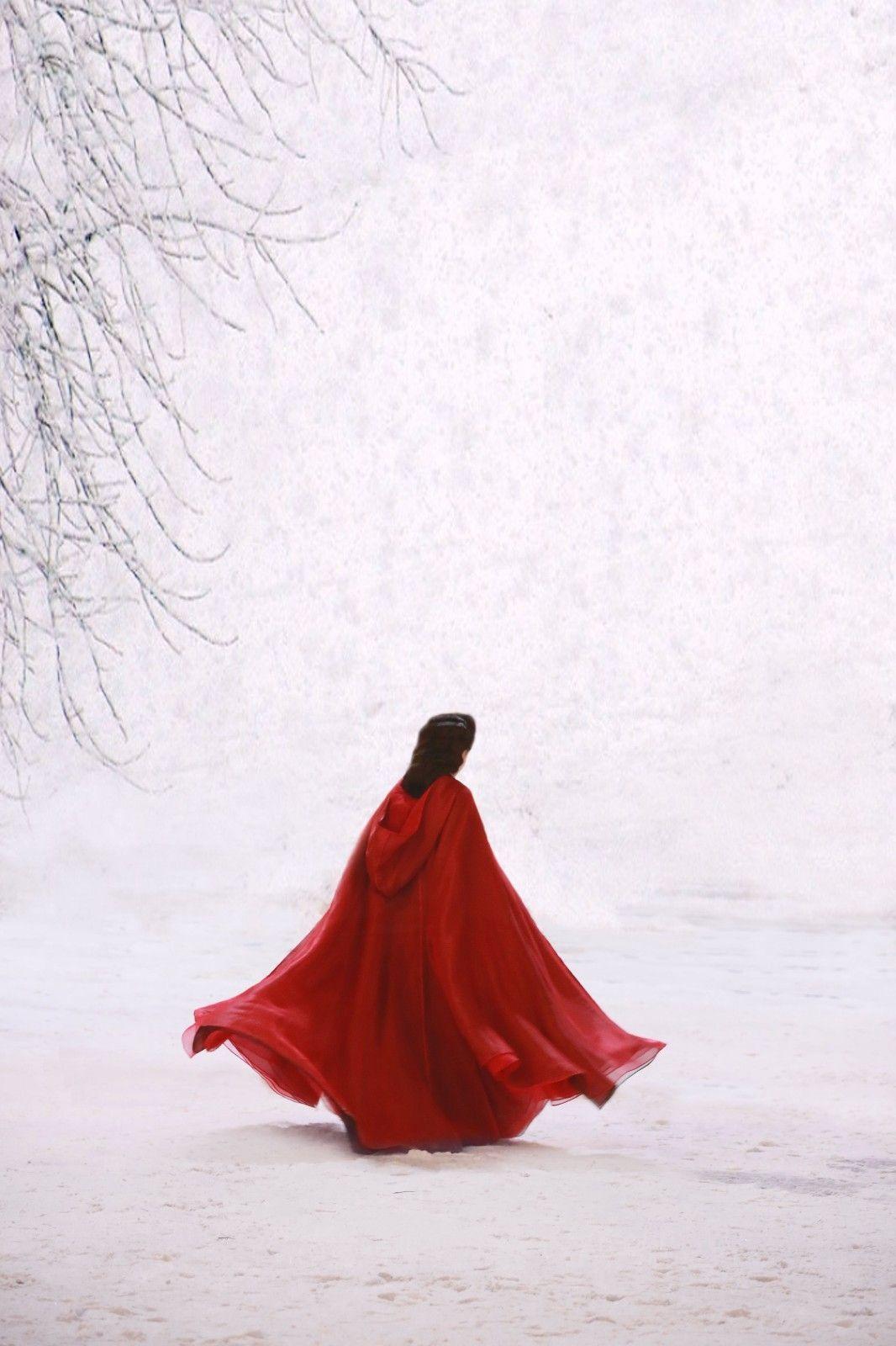 有哪些很美很有意境的红衣白雪的图片