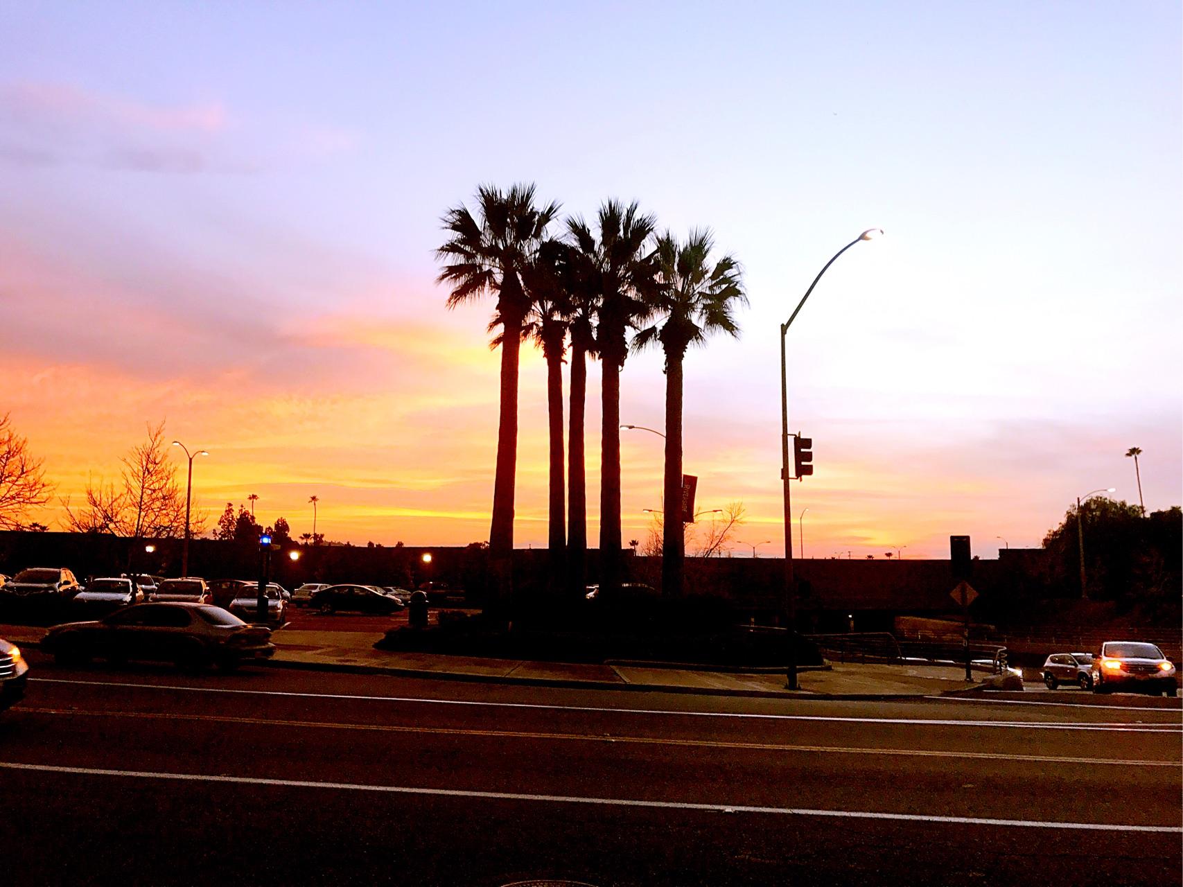 在加州大学河滨分校 (uc riverside) 就读是怎样一番体验?