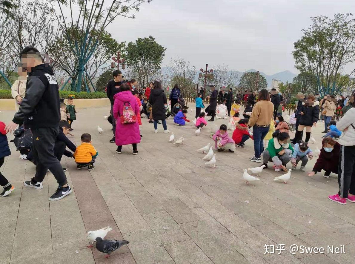玩耍的地方 v2-1a5d9fe86c4b1d7517f287c8c3fe8c85_r.jpg