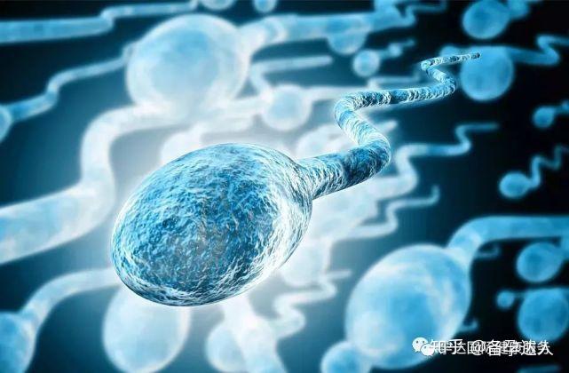 精子畸形率99%还能怀孕吗?生出了孩子会“畸形”吗? - 知乎