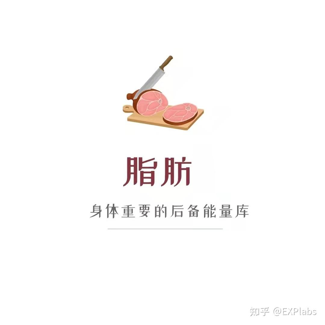 脂肪的摄入量过少过多对健康的危害分别有哪些