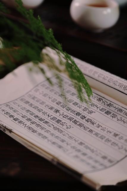 :中国文学史上第一首