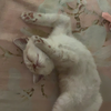 一个废物