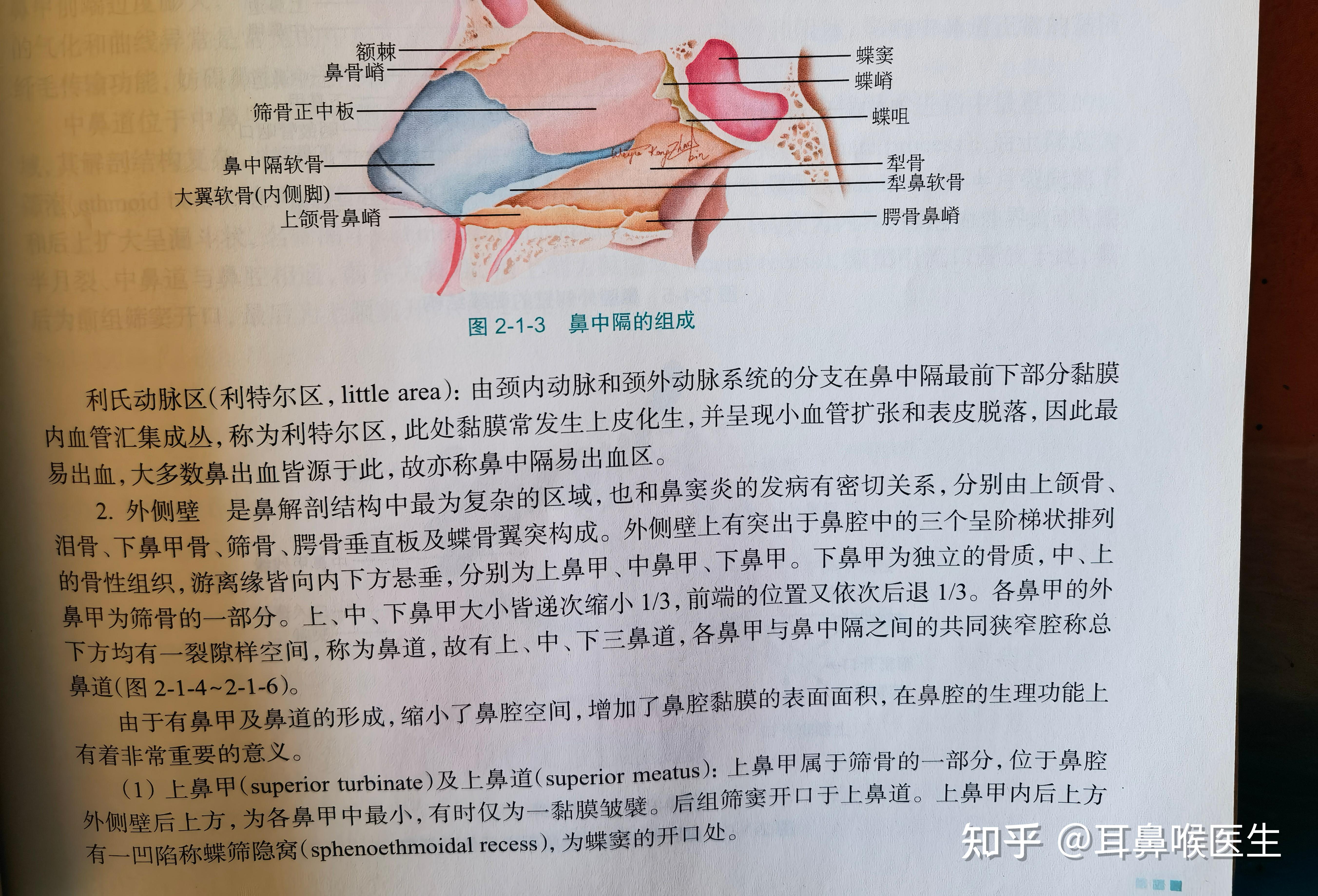 黎氏区是哪个位置? - 知乎