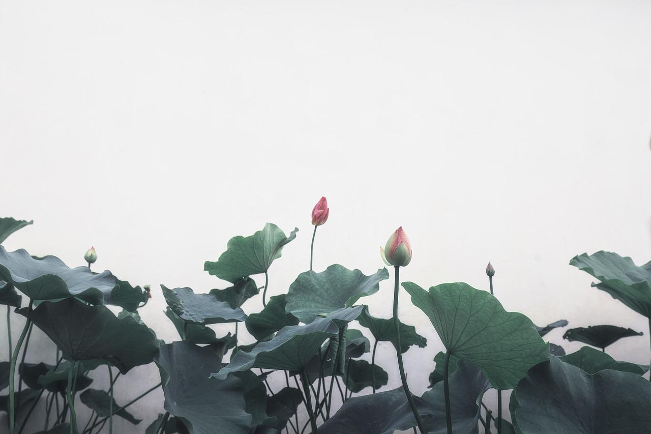 2. 现代简约风格