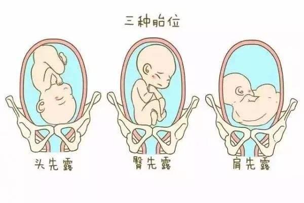 广州私立机构供卵代生哪家好会被骗吗+