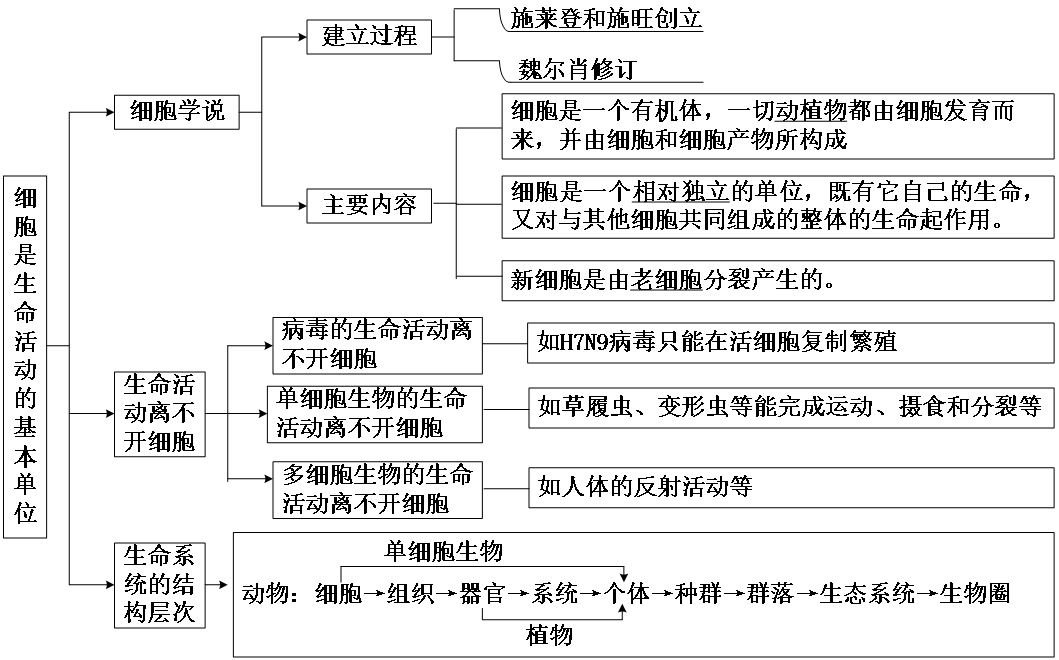 细胞是生命活动的基本单位