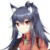 Zhihu profile picture for @collective