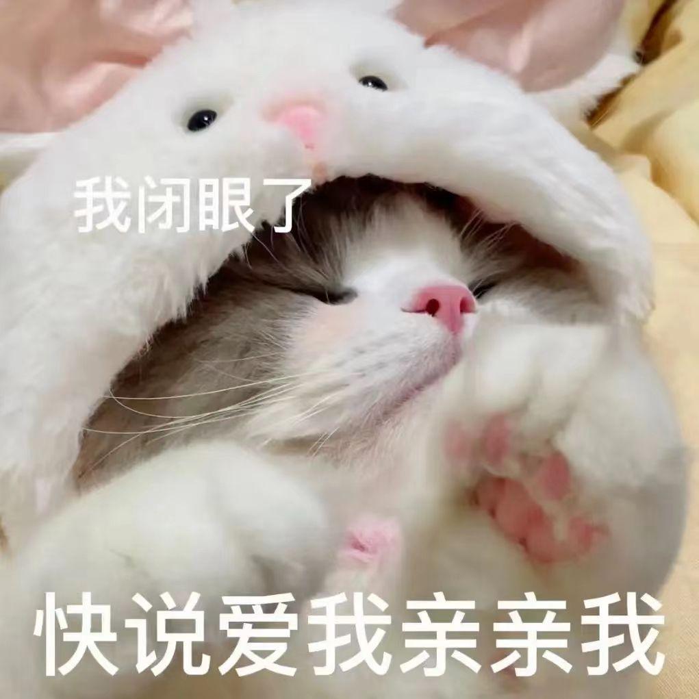 有没有让人笑到肚子痛的表情包?