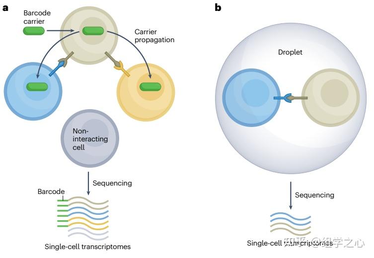 nature reviews genetics | 细胞互作和通讯方法总结 - 知乎