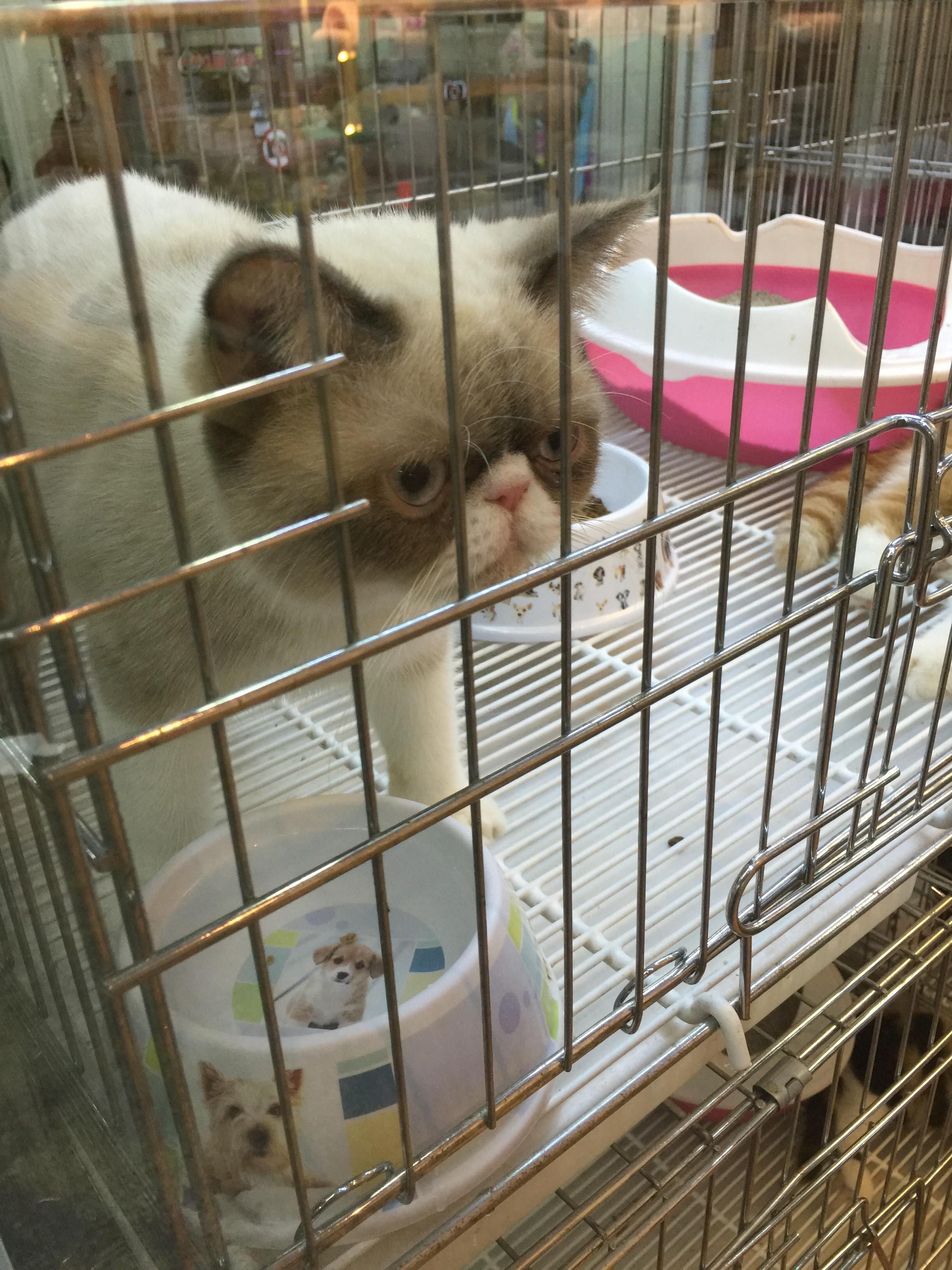 泰国哪些地方值得去?