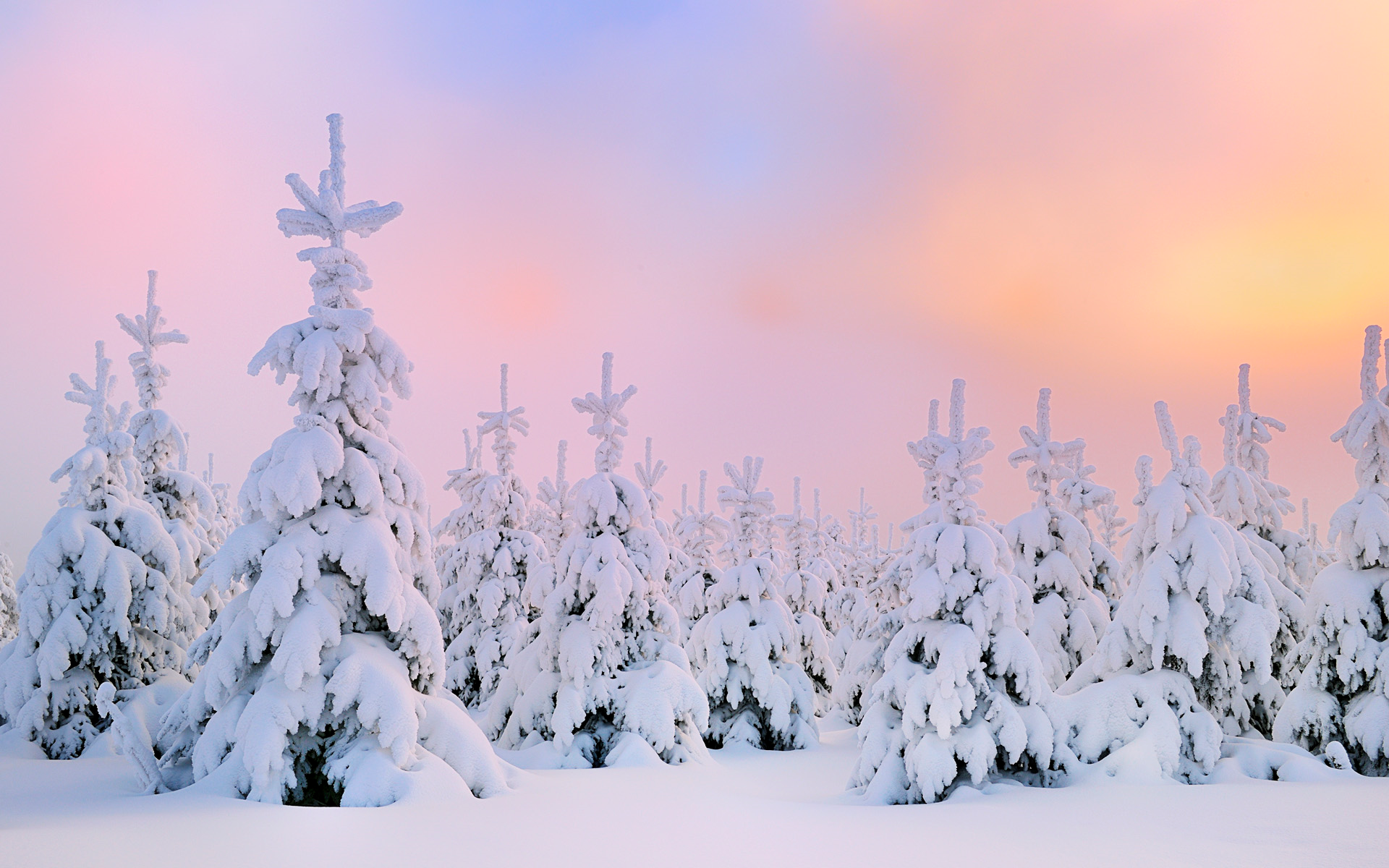雪的优美句子_降雪等级标准_雪的形成条件