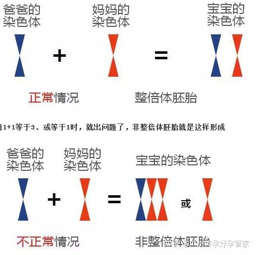 性染色体非整倍体高风险的孩子可以要吗