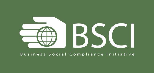 社会责任审厂 BSCI审厂全 社会责任BSCI BSCI社会责任审厂