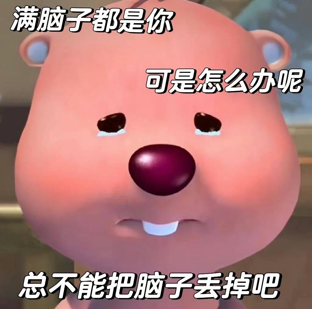 可以给我看看你的小海狸loopy的表情包吗?