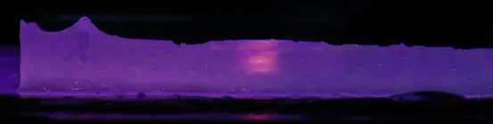 为什么我的凝胶DNA回收率低_新闻资讯_第6张_活检穿刺产品网 为什么我的凝胶DNA回收率低_https://www.jmylbn.com_新闻资讯_第6张