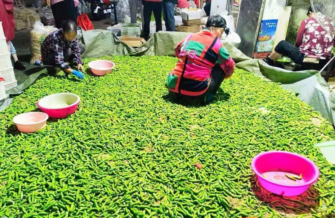 豆丹多少錢哪些地方有賣怎麼吃