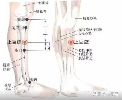 邪气脏腑病形:邪气对脏腑的侵袭 - 知乎