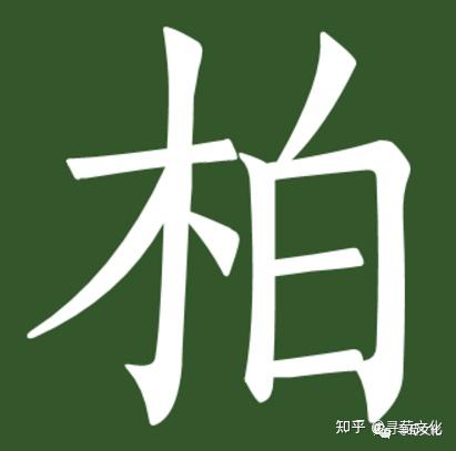 柏-汉字的艺术与中华姓氏文化荀卿庠整理 - 知乎