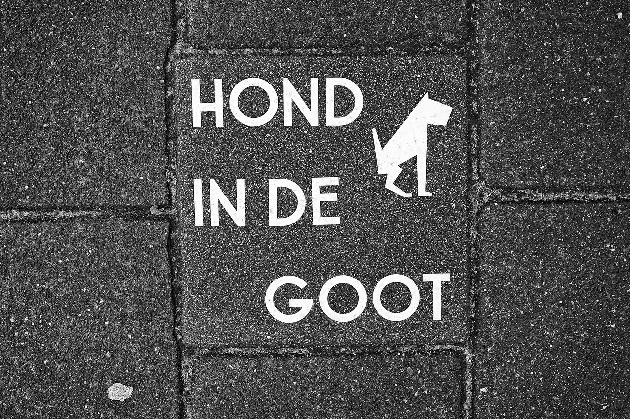 低密度社区宜居