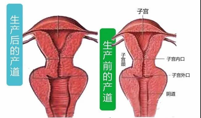 魅力女性|| 紧致性福女人就是你!