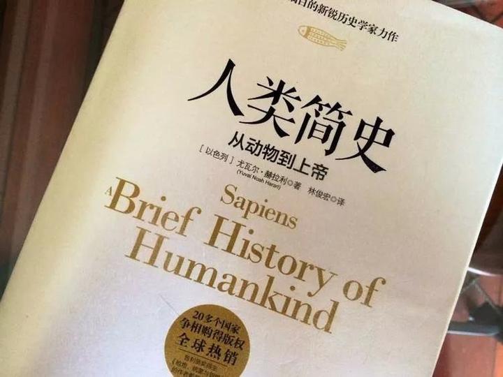 书评人类简史就平均而言已婚比单身更快乐