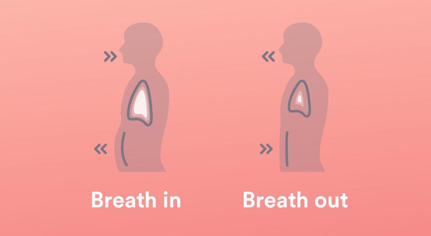 跑步时，该用腹式呼吸还是胸式呼吸，该用鼻吸鼻呼，还是鼻吸口呼？ - 知乎