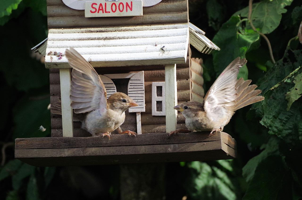 4. 楼顶排水不畅