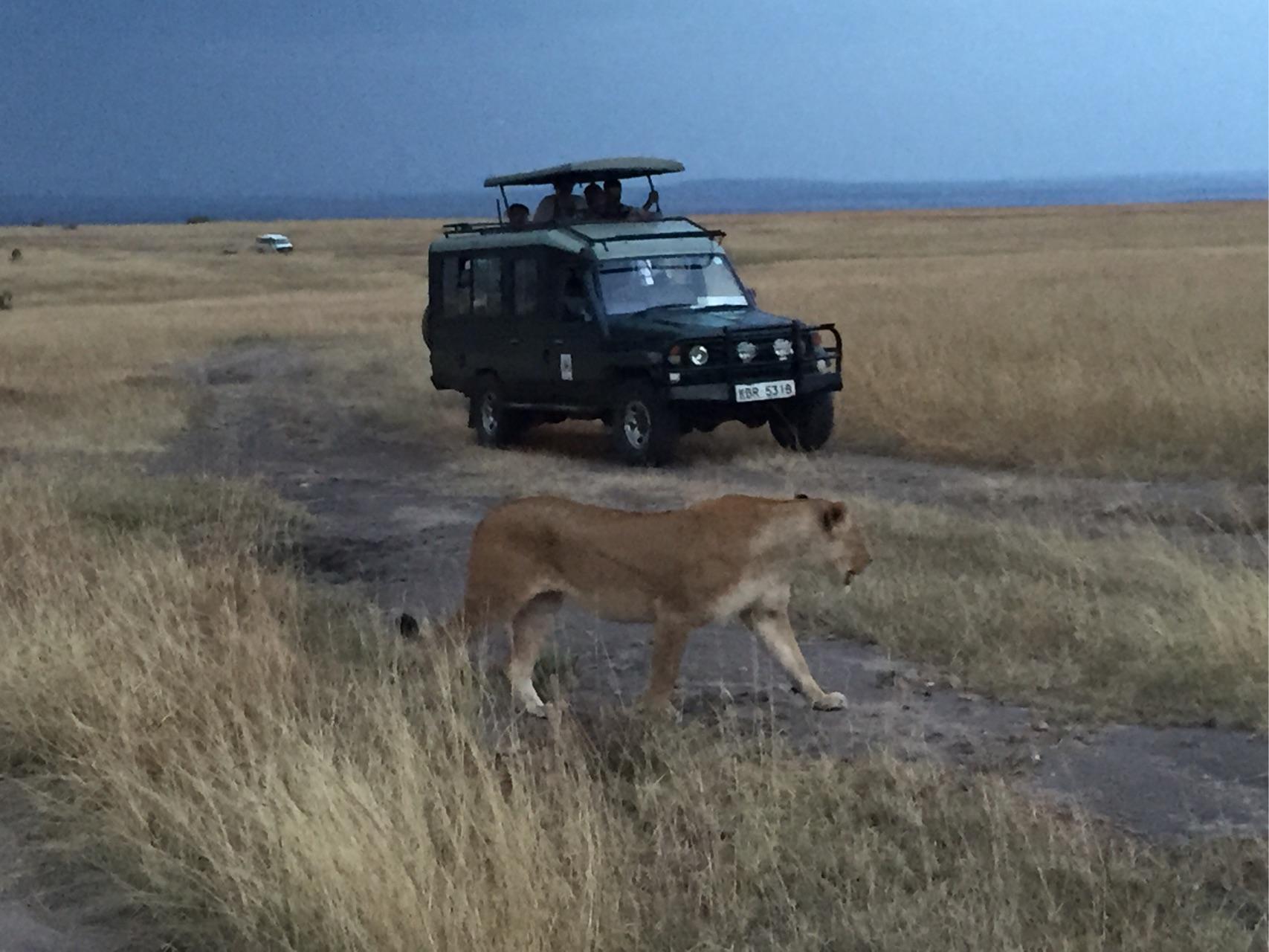 去肯尼亚旅行是一种什么体验?