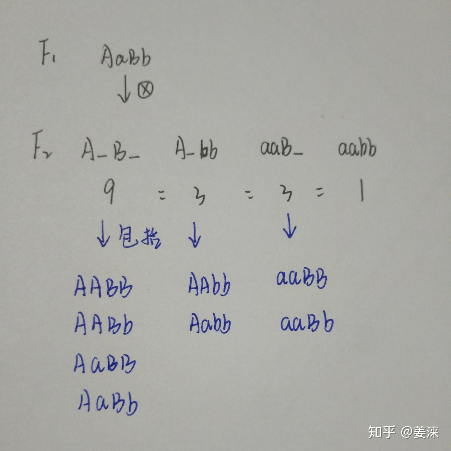 在孟德尔两对相对性状的杂交实验中f2的基因型有4种比例为9331哪里错