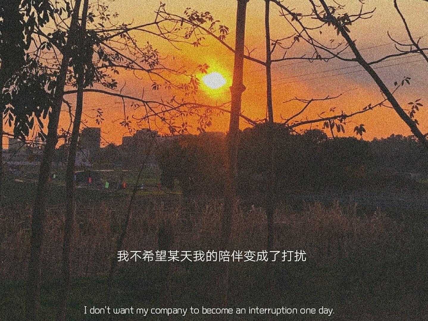 有什么配图的高级感朋友圈文案吗字数精炼不要太矫情