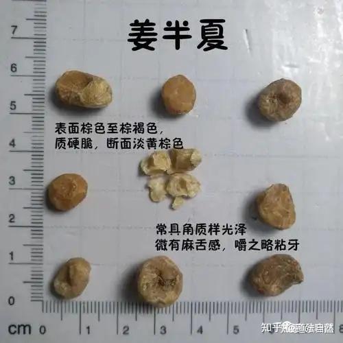 清半夏,法半夏,姜半夏的临床使用有何区别? - 知乎