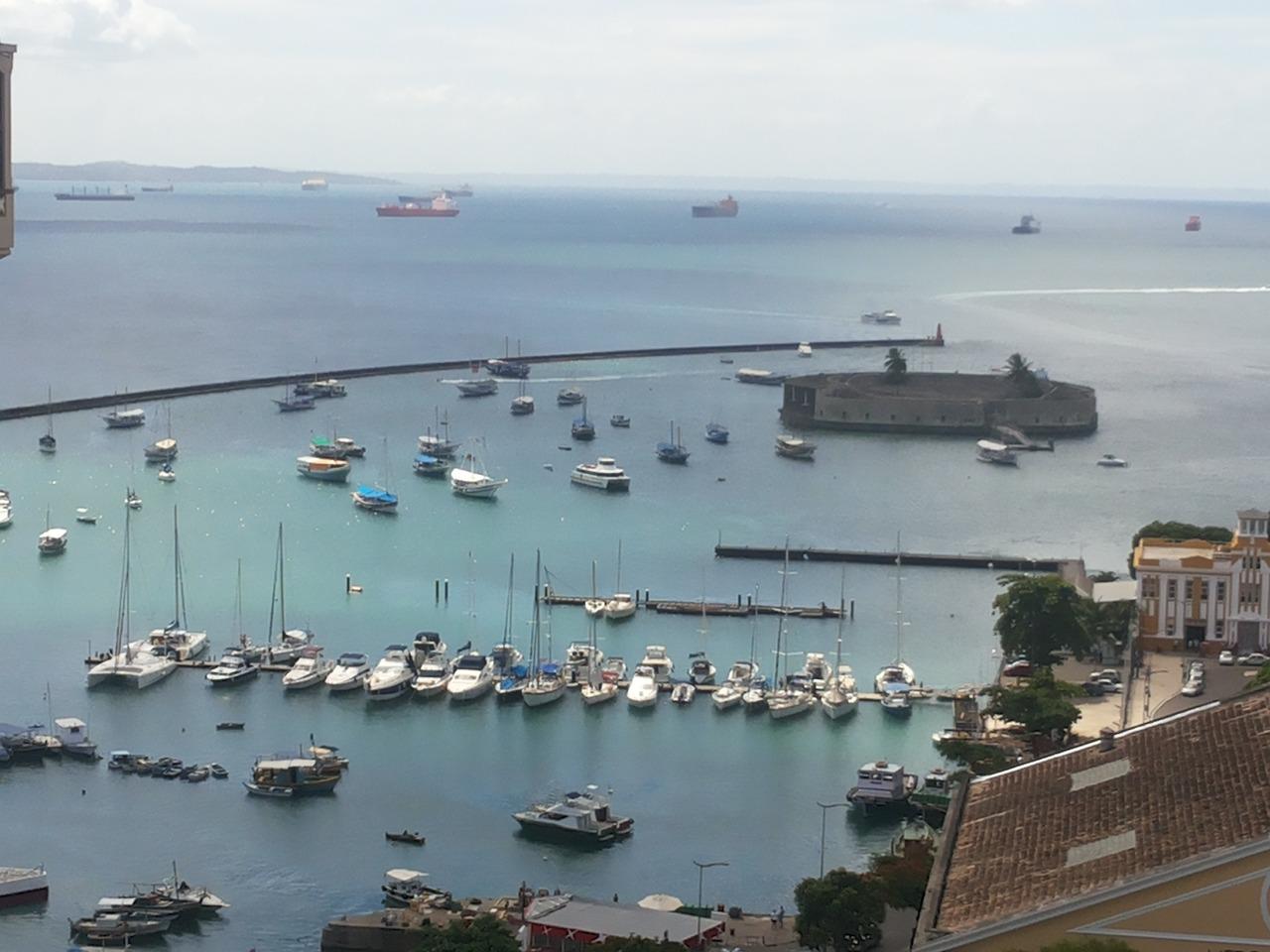 1. 力克品牌实力