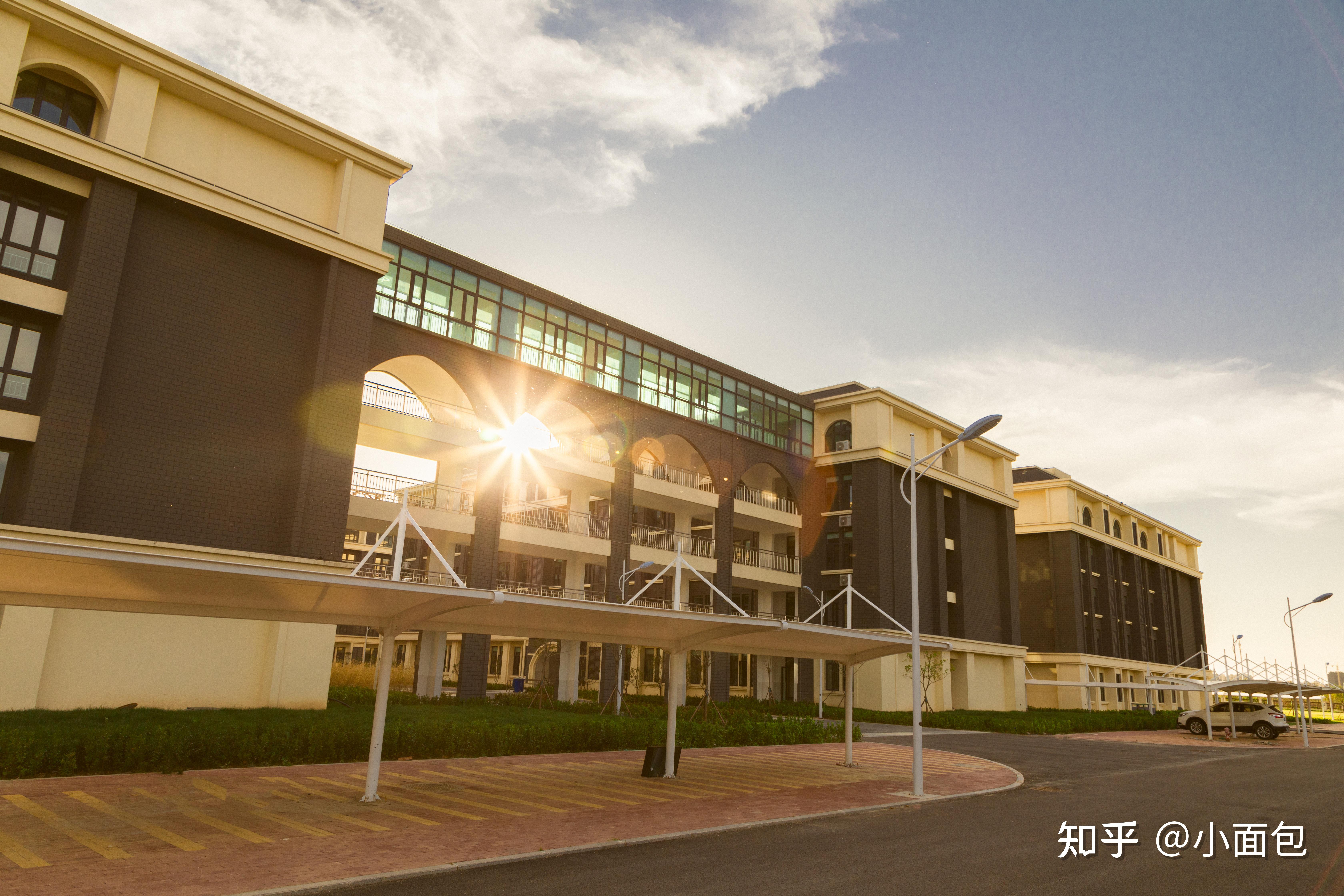 传智专修学院是正规大学吗