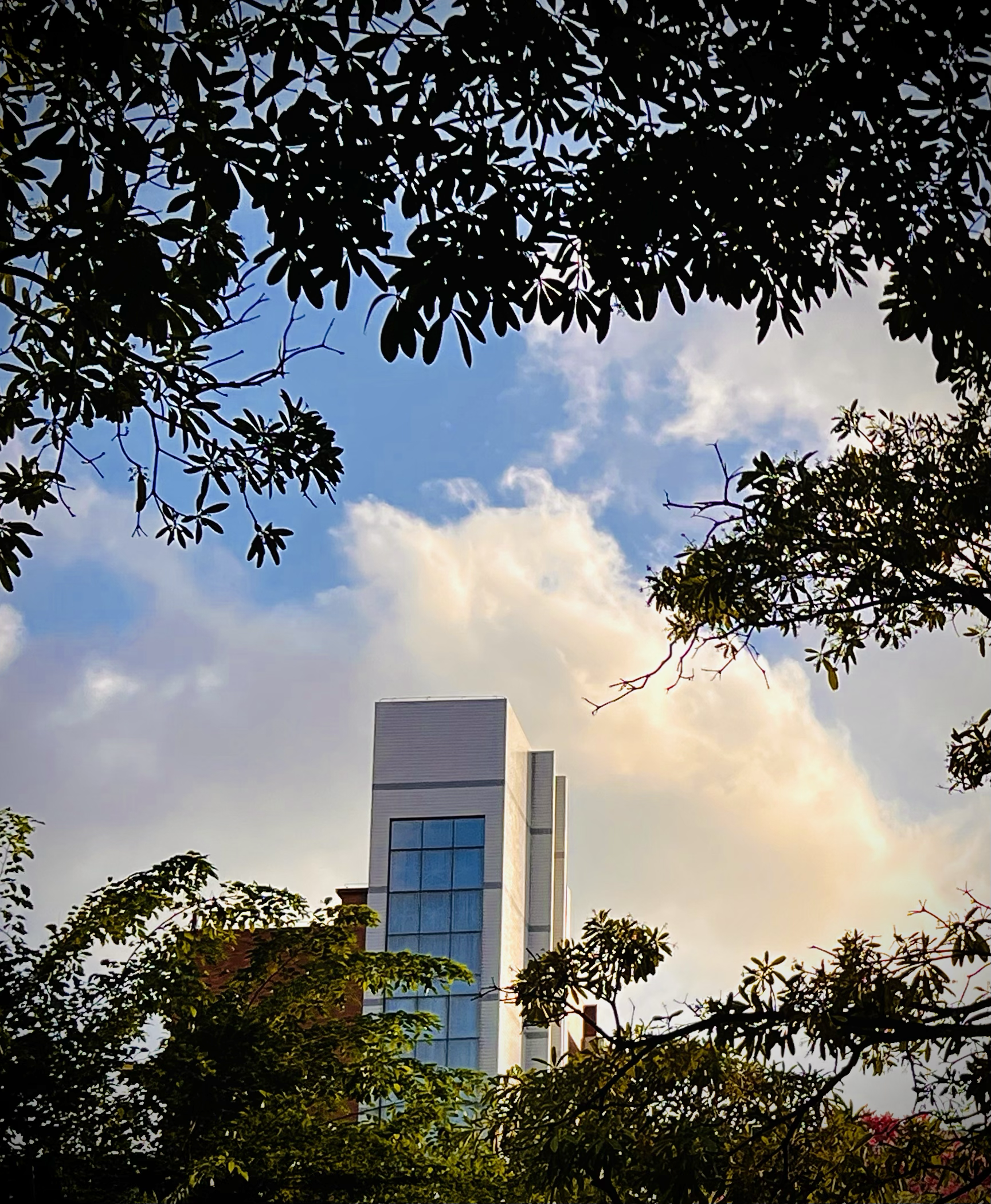 岭南师范学院怎么样?(岭南师范学院可以读研究生吗)