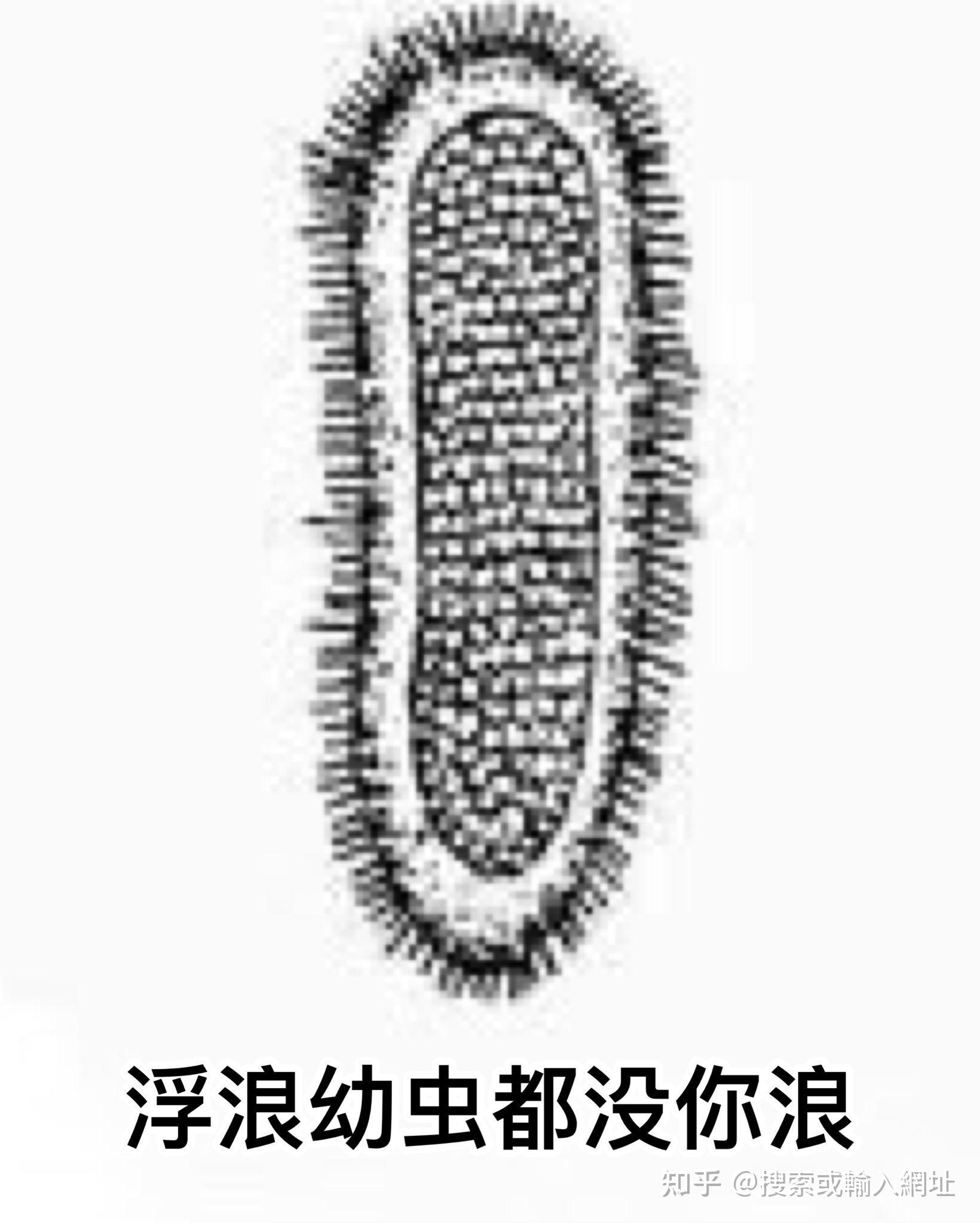 有哪一些关于生物专业的表情包