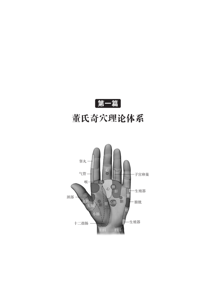 董氏奇穴穴位课第四堂- 知乎