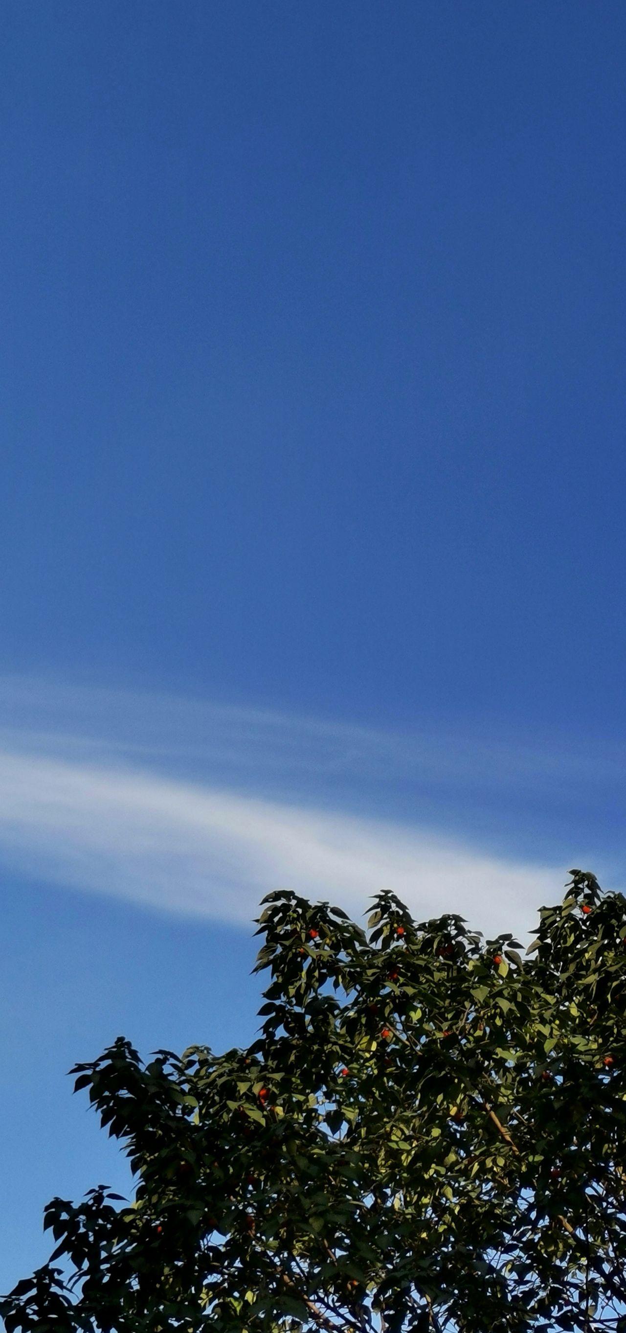 有哪些适合荣耀v20魅眼屏的手机壁纸