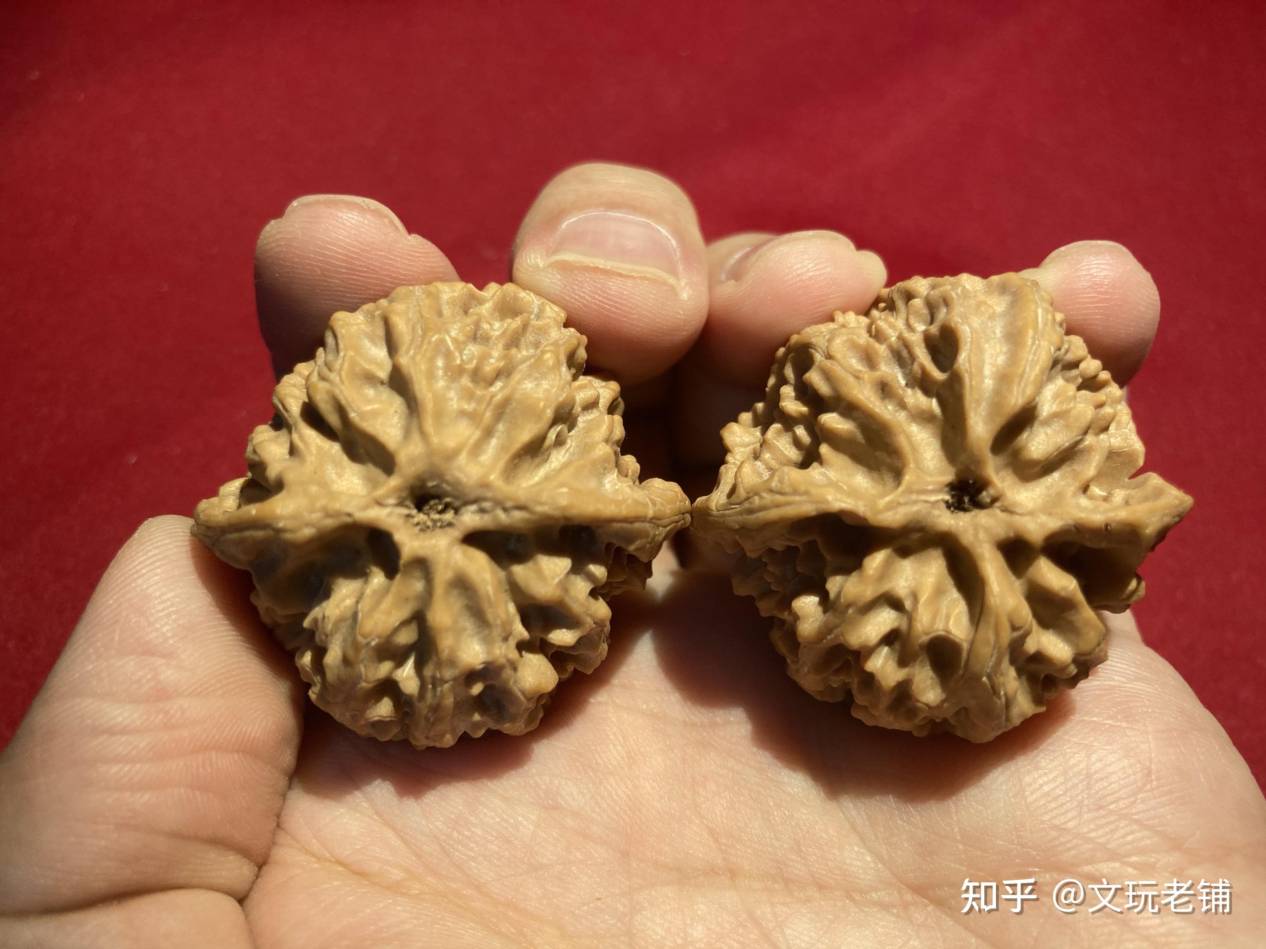 怎么看文玩核桃底漏不漏我这正常吗