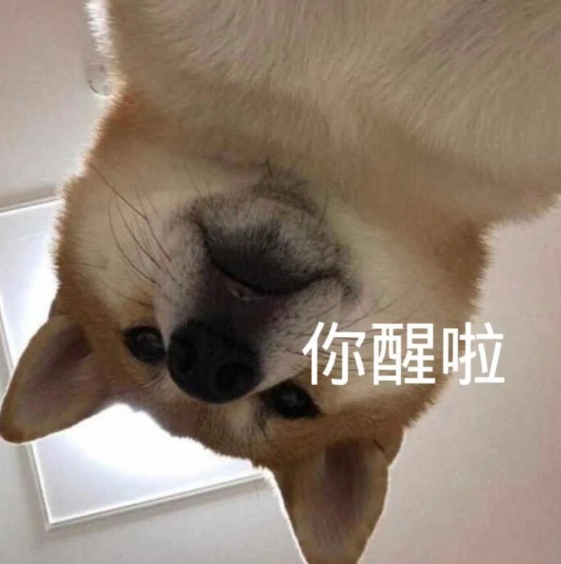 你都存了哪些沙雕表情包? - 知乎