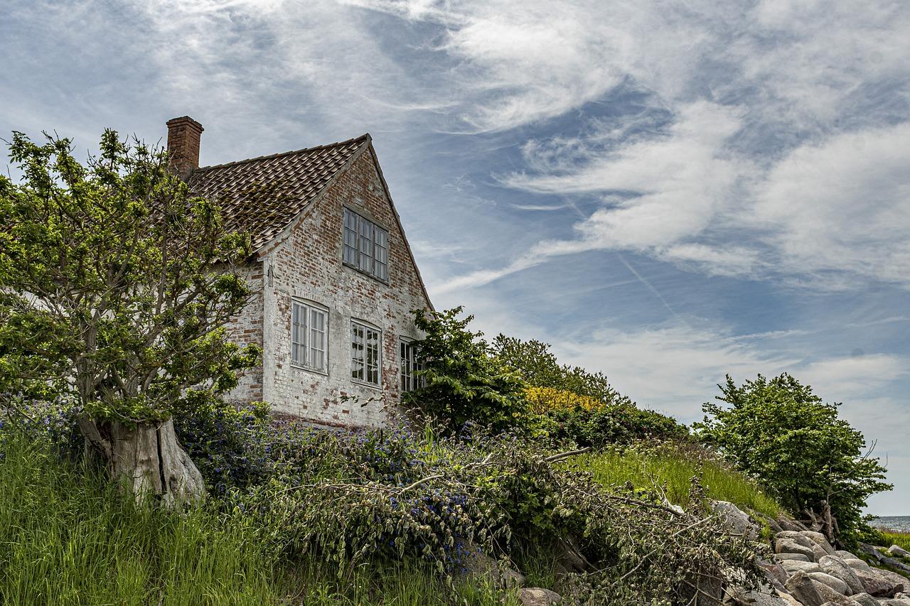 上虞海景塑崽哪里