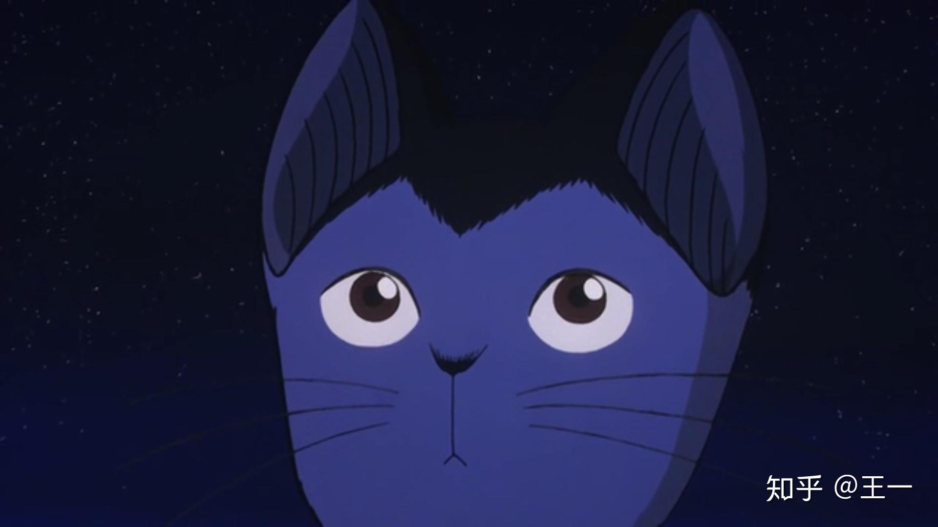 请问有什么以猫为主角的动画片