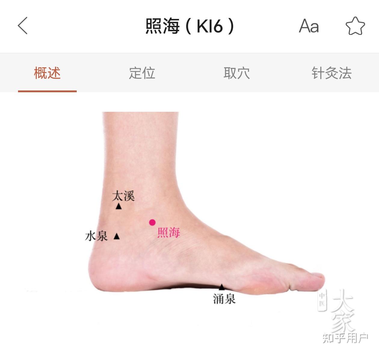女性左脚的经络图是什么样子的?