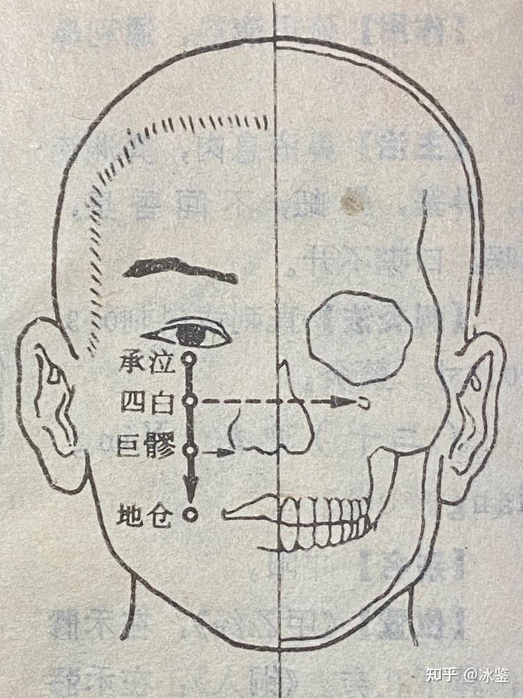 玉虚玄学风水课程,玉虚玄针十四经经穴,足阳明胃经经穴! - 知乎