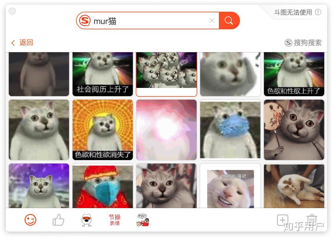 来些mur猫的表情可好？ - 知乎