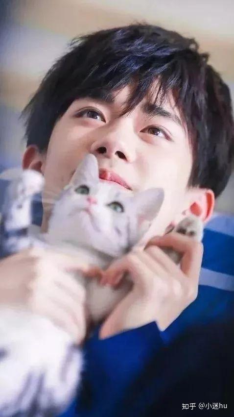 有没有人有易烊千玺抱着猫仰视的高清图片急需一定是高清谢谢