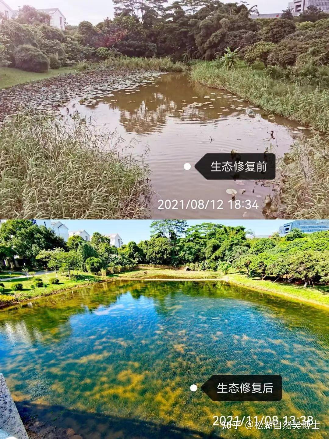 什么叫生态修复工程? - 知乎