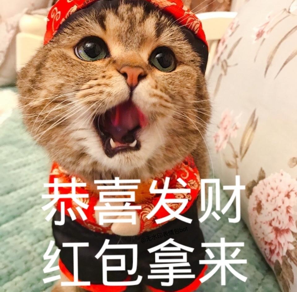 2021 春节,有什么有趣的拜年文案? - 知乎