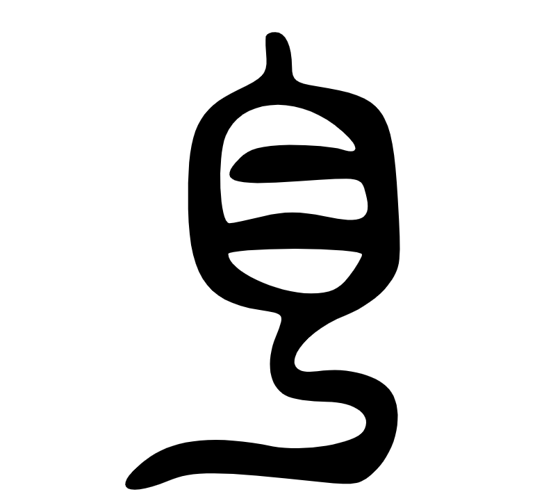 甲骨文"白"字之本义是什么? - 知乎