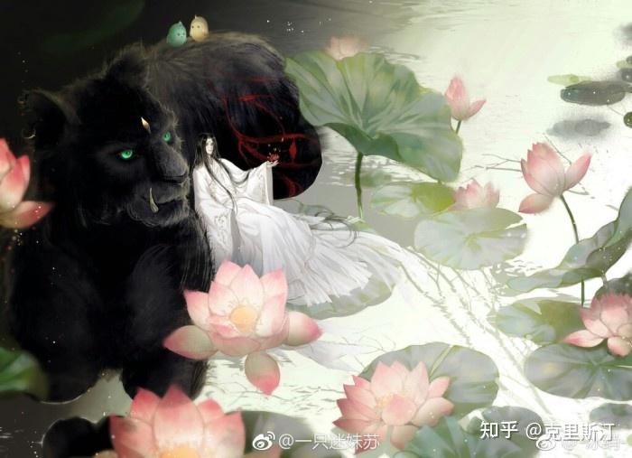 提灯映桃花到底说了什么? - 知乎